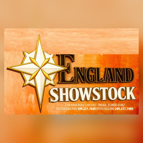 England ShowStock — see their sales on ShowNav