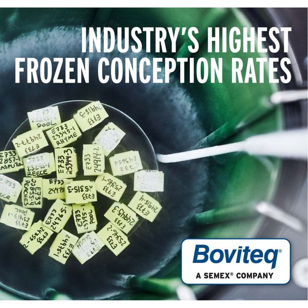Boviteq - leading the charge when it comes to conception and consistency on frozen IVF embryos